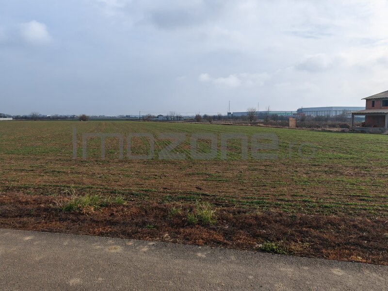 Dragomiresti Vale, langa centura, teren 31.200 mp, 35 e/mp