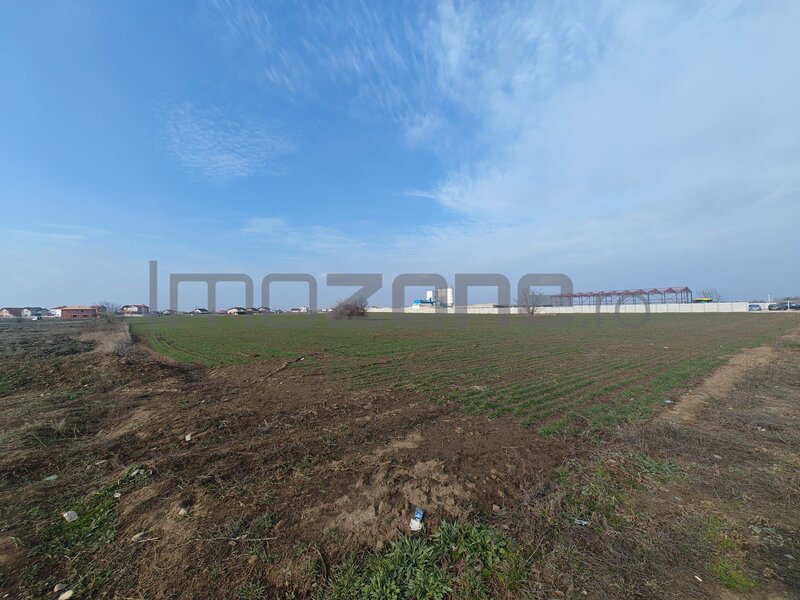 Dragomiresti Vale, langa centura, teren 31.200 mp, 35 e/mp